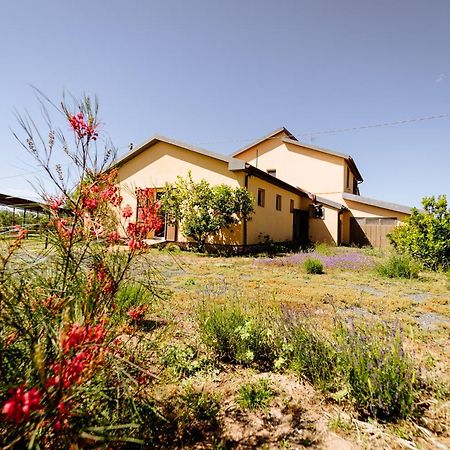 Agriturismo Bio Podere 109 - Wine&Food Alberese Bagian luar foto