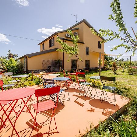 Agriturismo Bio Podere 109 - Wine&Food Alberese Bagian luar foto